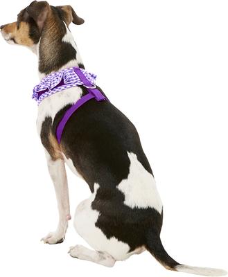 Show full view: Puppia Vivien A Style Polyester Back Clip Dog Harness, Purple, Small: 12 to 17.5-in chest slide 5 of 11