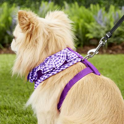 Show full view: Puppia Vivien A Style Polyester Back Clip Dog Harness, Purple, Small: 12 to 17.5-in chest slide 6 of 11