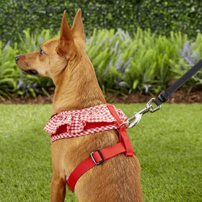 Show full view: Puppia Vivien A Style Polyester Back Clip Dog Harness, Red, Medium: 15 to 22-in chest slide 5 of 10