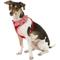 Show in main carousel: Puppia Vivien A Style Polyester Back Clip Dog Harness, Red, Small: 12 to 17.5-in chest slide 3 of 10
