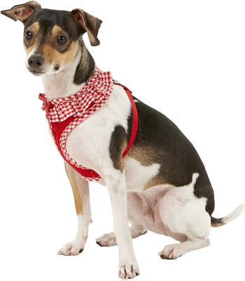 Show full view: Puppia Vivien A Style Polyester Back Clip Dog Harness, Red, Small: 12 to 17.5-in chest slide 3 of 10