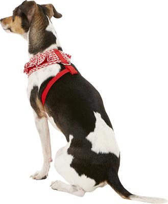 Show full view: Puppia Vivien A Style Polyester Back Clip Dog Harness, Red, Small: 12 to 17.5-in chest slide 4 of 10