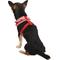 Show in main carousel: Puppia Vivien A Style Polyester Back Clip Dog Harness, Red, X-Small: 9 to 12.5-in chest slide 5 of 11