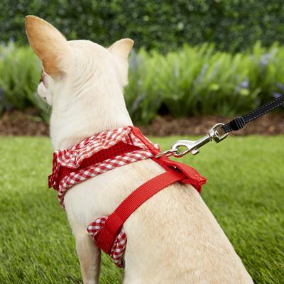 Show full view: Puppia Vivien A Style Polyester Back Clip Dog Harness, Red, X-Small: 9 to 12.5-in chest slide 6 of 11