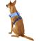 Show in main carousel: Puppia Vivien A Style Polyester Back Clip Dog Harness, Royal Blue, Medium: 15 to 22-in chest slide 5 of 11