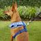 Show in main carousel: Puppia Vivien A Style Polyester Back Clip Dog Harness, Royal Blue, Medium: 15 to 22-in chest slide 6 of 11