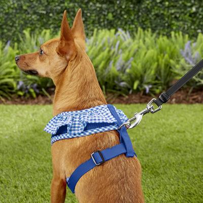 Show full view: Puppia Vivien A Style Polyester Back Clip Dog Harness, Royal Blue, Medium: 15 to 22-in chest slide 6 of 11