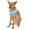 Show in main carousel: Puppia Vivien A Style Polyester Back Clip Dog Harness, Sky Blue, Medium: 15 to 22-in chest slide 4 of 11