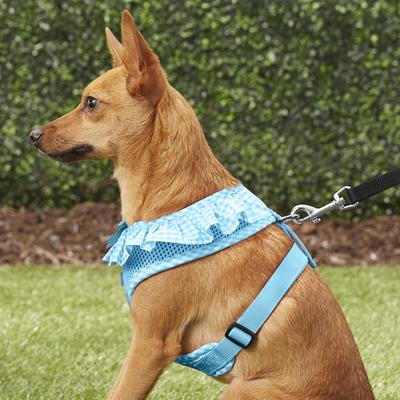 Show full view: Puppia Vivien A Style Polyester Back Clip Dog Harness, Sky Blue, Medium: 15 to 22-in chest slide 6 of 11