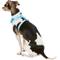 Show in main carousel: Puppia Vivien A Style Polyester Back Clip Dog Harness, Sky Blue, Small: 12 to 17.5-in chest slide 4 of 10