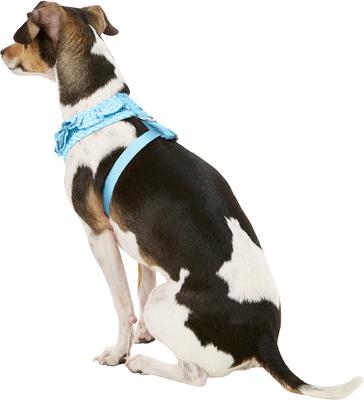 Show full view: Puppia Vivien A Style Polyester Back Clip Dog Harness, Sky Blue, Small: 12 to 17.5-in chest slide 4 of 10