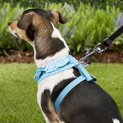 Puppia Vivien A Style Polyester Back Clip Dog Harness