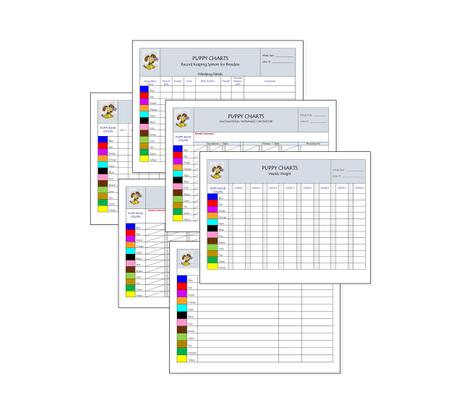 Show full view: Puppies in Bloom Color Coordinated Breeder Record Keeping Charts slide 1 of 8