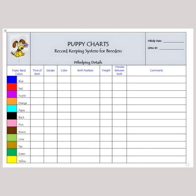 Show full view: Puppies in Bloom Color Coordinated Breeder Record Keeping Charts slide 2 of 8