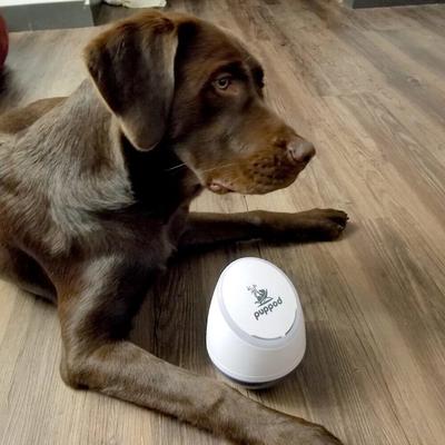 Show full view: PupPod Enrichment Training & Gaming System Positive Reinforcement Puzzle Toy Dog Feeder & Mobile App slide 2 of 10