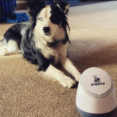 Show full view: PupPod Enrichment Training & Gaming System Positive Reinforcement Puzzle Toy Dog Feeder & Mobile App slide 3 of 10