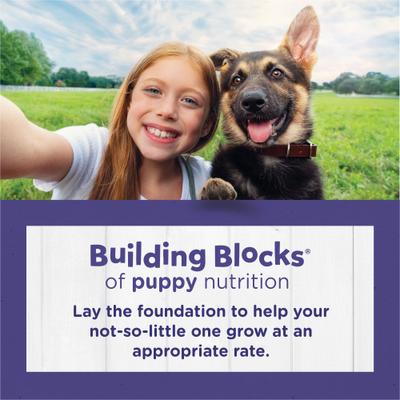 Show full view: Puppy Chow High Protein with Real Chicken Large Breed Dry Puppy Food, 30-lb bag slide 4 of 11