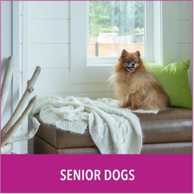 Show full view: Puppy Go Potty Natural Paper Fiber Dog Litter, 8.5-lb bag slide 6 of 11