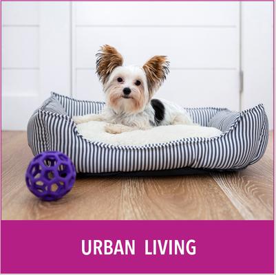 Show full view: Puppy Go Potty Natural Paper Fiber Dog Litter, 8.5-lb bag slide 7 of 11