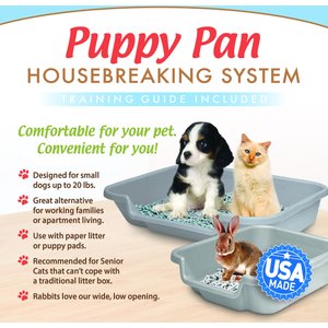 Puppy Pan Dog, Cat & Small Animal Litter Pan, Gray, Large