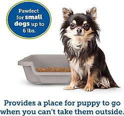 Puppy Pan Dog, Cat & Small Animal Litter Pan, Gray, Small slide 2 of 6