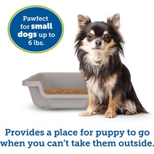 Puppy Pan Dog, Cat & Small Animal Litter Pan, Gray, Small