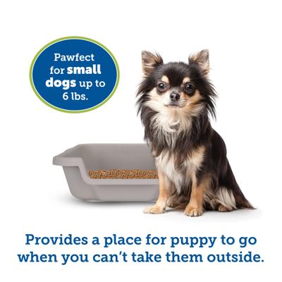 Show full view: Puppy Pan Dog, Cat & Small Animal Litter Pan, Gray, Small slide 2 of 8