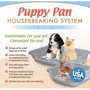 Puppy Pan Dog, Cat & Small Animal Litter Pan, Gray, Small