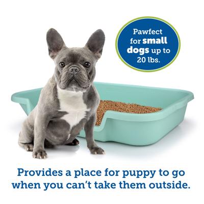 Show full view: Puppy Pan Dog, Cat & Small Animal Litter Pan, Green, Large slide 2 of 6