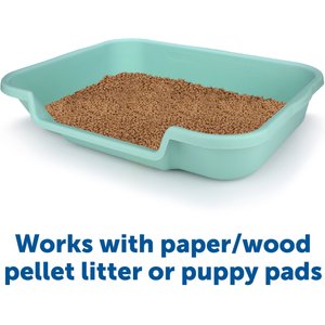 Puppy Pan Dog, Cat & Small Animal Litter Pan, Green, Large