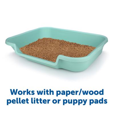 Show full view: Puppy Pan Dog, Cat & Small Animal Litter Pan, Green, Large slide 4 of 6