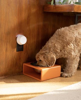 Show full view: Pura Smart Fragrance Diffuser slide 6 of 8