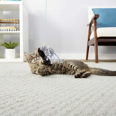 Show full view: PureBites Chicken Breast Freeze-Dried Raw Cat Treats, 2.3-oz bag + Frisco Bouncy Mouse Cat Toy, Blue slide 6 of 6