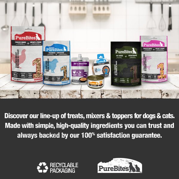 PureBites Chicken Breast Freeze-Dried Raw Dog Treats