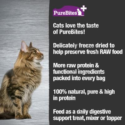 Show full view: PureBites+ Gut & Digestion Cat Treats, 1.09-oz bag slide 5 of 8