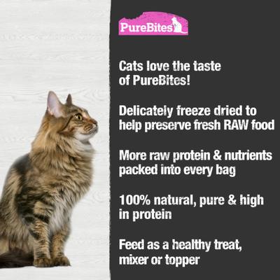 Show full view: PureBites Salmon Freeze-Dried Raw Cat Treats, 2-oz bag slide 6 of 10