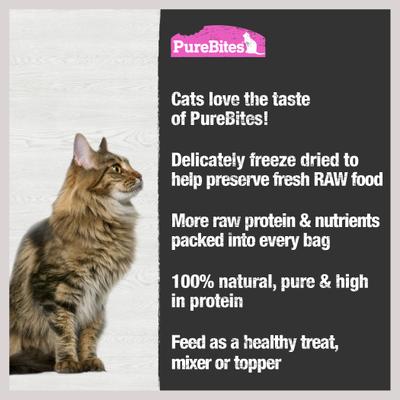 Show full view: PureBites Salmon Freeze-Dried Raw Cat Treats, 4.7-oz bag slide 6 of 10