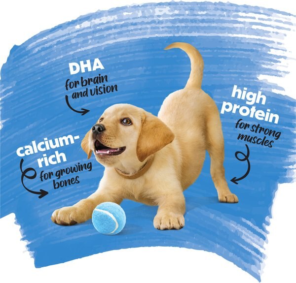 Purina beneful healthy puppy with farm raised chicken high protein dry