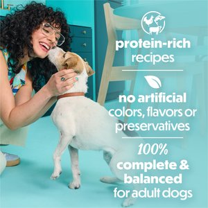 Purina Beneful IncrediBites Adult Variety Pack Chicken Beef & Salmon Small Breed Wet Dog Food, 3-oz can, case of 30