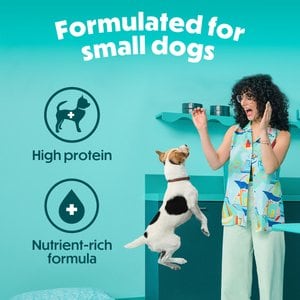 Purina Beneful IncrediBites Adult Variety Pack Chicken Beef & Salmon Small Breed Wet Dog Food, 3-oz can, case of 30