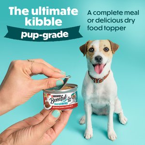 Purina Beneful IncrediBites Adult Variety Pack Chicken Beef & Salmon Small Breed Wet Dog Food, 3-oz can, case of 30