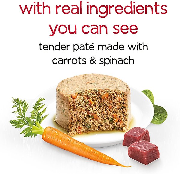 Purina Beneful Infused Pate with Real Beef, Carrots & Spinach Wet Dog Food