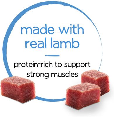 Show full view: Purina Beneful Infused Pate with Real Lamb, Carrots & Spinach Wet Dog Food, 3-oz can, case of 12 slide 6 of 10