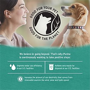 Purina Beyond Alaskan Cod, Salmon & Sweet Potato Grain-Free Canned Dog Food, 13-oz can, case of 4