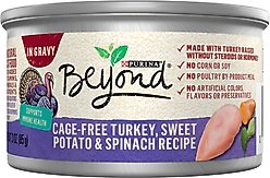 Purina Beyond Cage-Free Turkey, Sweet Potato & Spinach Recipe in Gravy Canned Cat Food, 3-oz, case of 12