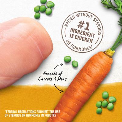Purina Beyond Chicken, Carrot & Pea Recipe Ground Entrée Grain-Free Canned Dog Food