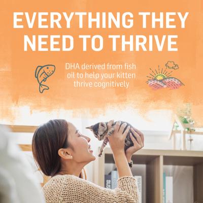 Show full view: Purina Beyond Chicken & Oatmeal Recipe Dry Kitten Food, 3-lb bag slide 7 of 10