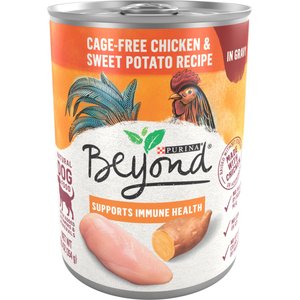 Purina Beyond Chicken & Sweet Potato Recipe in Gravy Canned Dog Food, 12.5-oz, case of 12