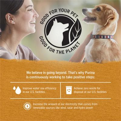 Show full view: Purina Beyond Chicken & Sweet Potato Recipe in Gravy Canned Dog Food, 12.5-oz, case of 12 slide 7 of 12