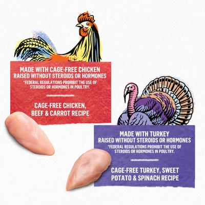 Show full view: Purina Beyond Chicken & Turkey Variety Pack Wet Cat Food, 3-oz can, case of 12 slide 3 of 11